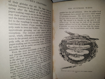 211- Nature'S Craftsmen. Popular Studies Of Ants And Other Insects. Henry Christopher Mccook - 1907
