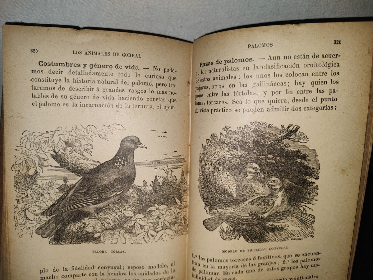 64- Los Animales De Corral - Alberto Larbalétrier - Paris, Garnier Hermanos, Libreros-Editores, 1887