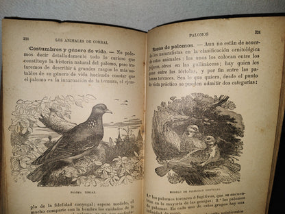 64- Los Animales De Corral - Alberto Larbalétrier - Paris, Garnier Hermanos, Libreros-Editores, 1887
