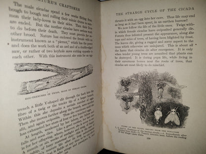 211- Nature'S Craftsmen. Popular Studies Of Ants And Other Insects. Henry Christopher Mccook - 1907