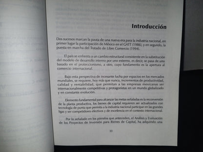 84- Análisis Y Evaluación De Proyectos De Inversión Para Bienes De Capital - Ernestina Guerta Ríos