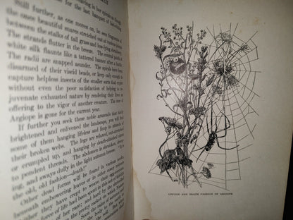 211- Nature'S Craftsmen. Popular Studies Of Ants And Other Insects. Henry Christopher Mccook - 1907