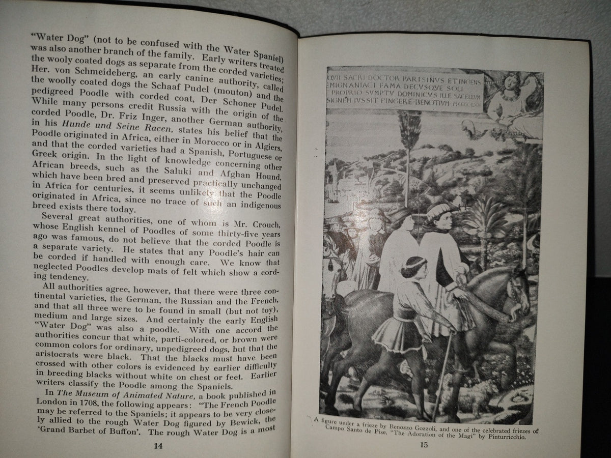 153- The Complete Poodle - Lydia Hopkins - Howellbook House, Inc. - 1962