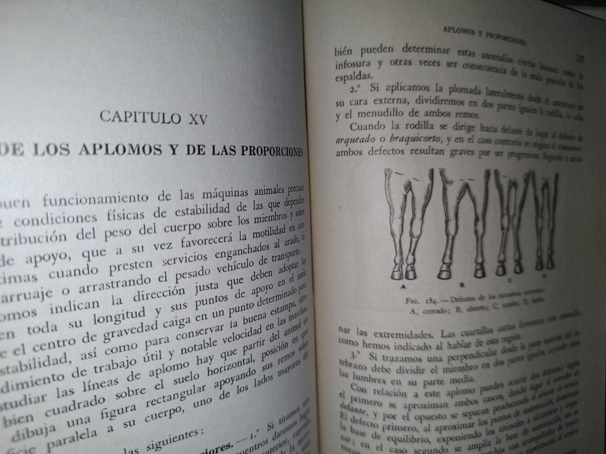 48- Ganado Caballar - José Maria Beltrán - Salvat Editores, S. A., Primera Edición, 1954