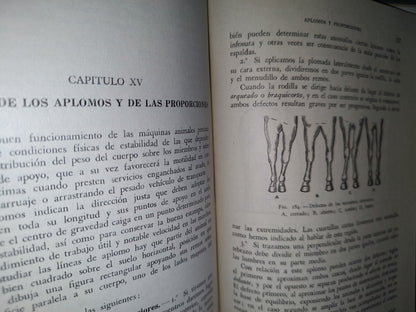 48- Ganado Caballar - José Maria Beltrán - Salvat Editores, S. A., Primera Edición, 1954