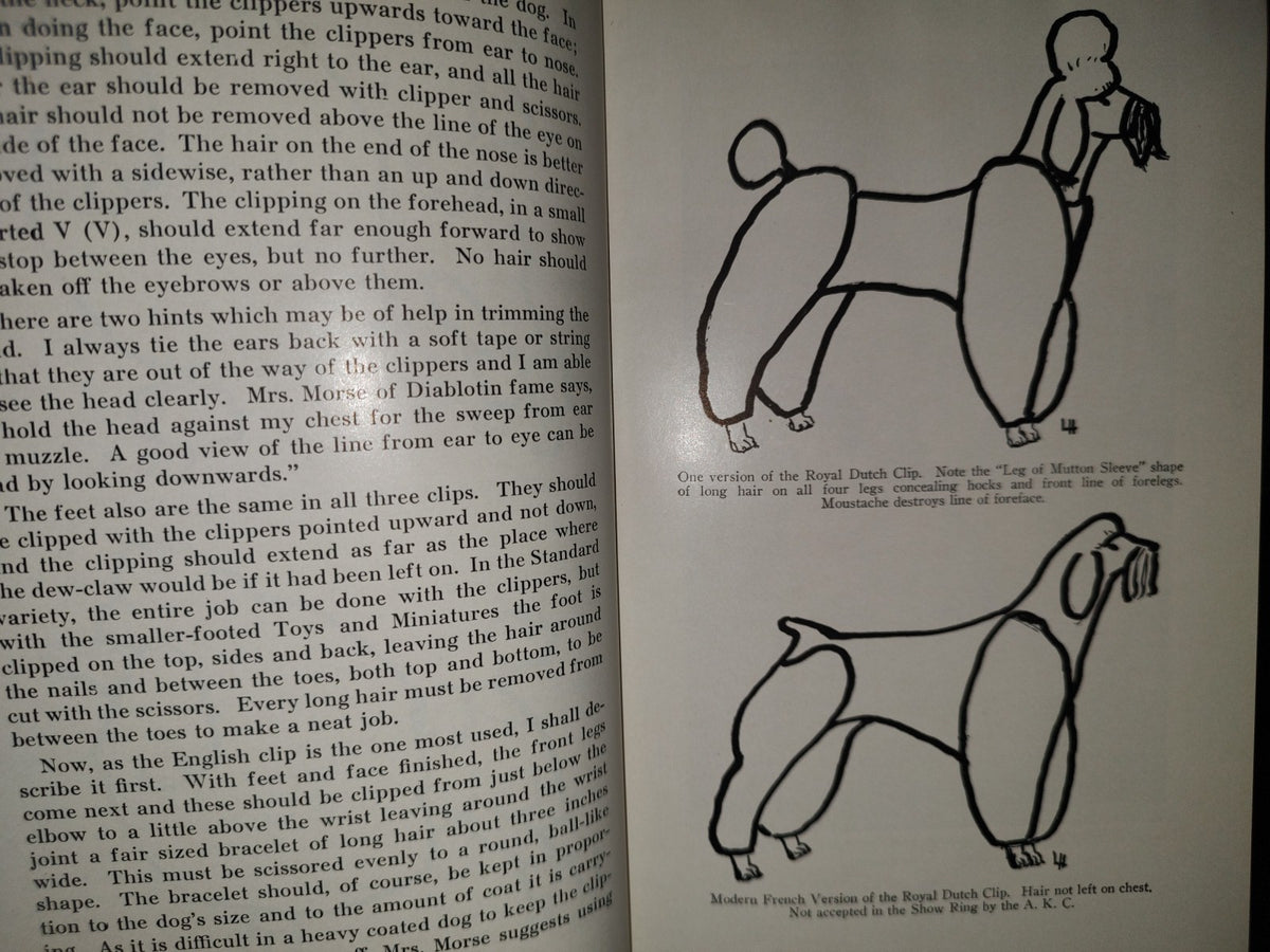 153- The Complete Poodle - Lydia Hopkins - Howellbook House, Inc. - 1962