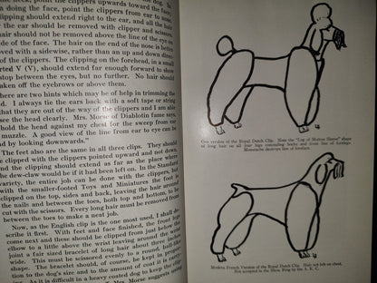 153- The Complete Poodle - Lydia Hopkins - Howellbook House, Inc. - 1962