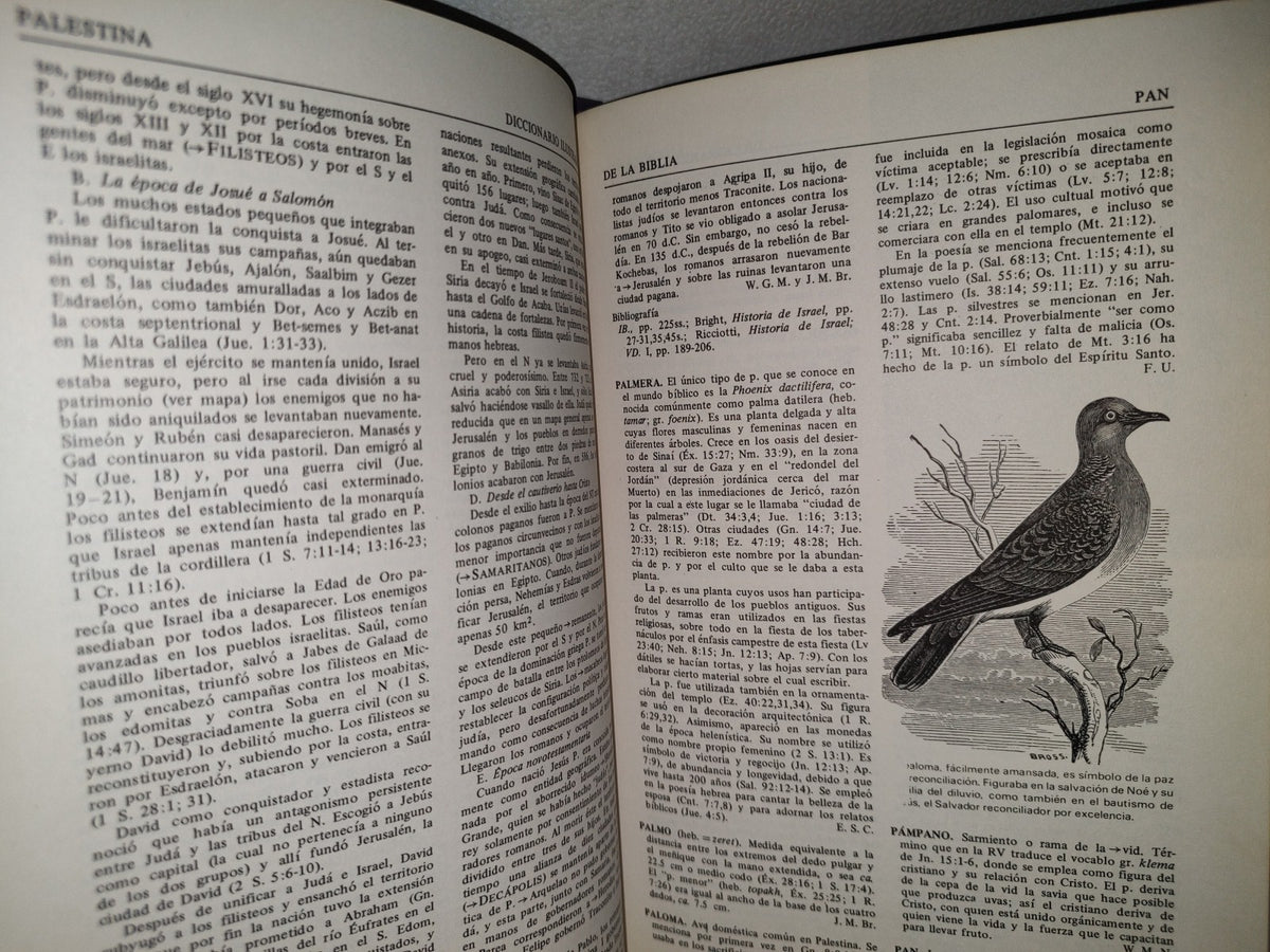 23- Diccionario Ilustrado De La Biblia - Wilton M. Nelson - Editorial Caribe, 1975