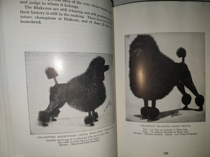 153- The Complete Poodle - Lydia Hopkins - Howellbook House, Inc. - 1962