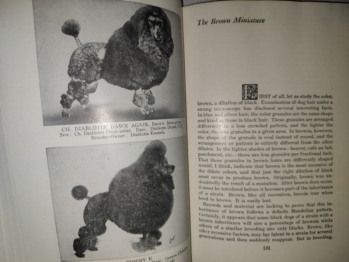 153- The Complete Poodle - Lydia Hopkins - Howellbook House, Inc. - 1962