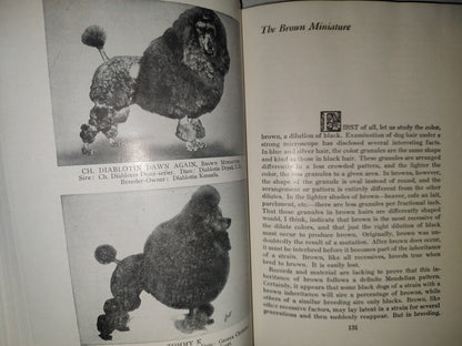 153- The Complete Poodle - Lydia Hopkins - Howellbook House, Inc. - 1962