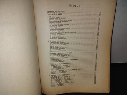 100- Niñez Y Adolescencia - L. J. Stone Y J. Church - Lumen, Hormé