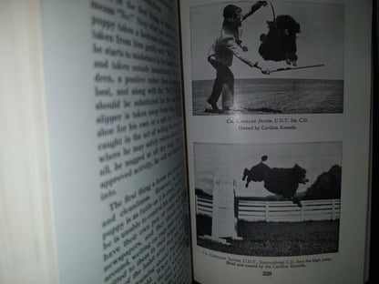153- The Complete Poodle - Lydia Hopkins - Howellbook House, Inc. - 1962