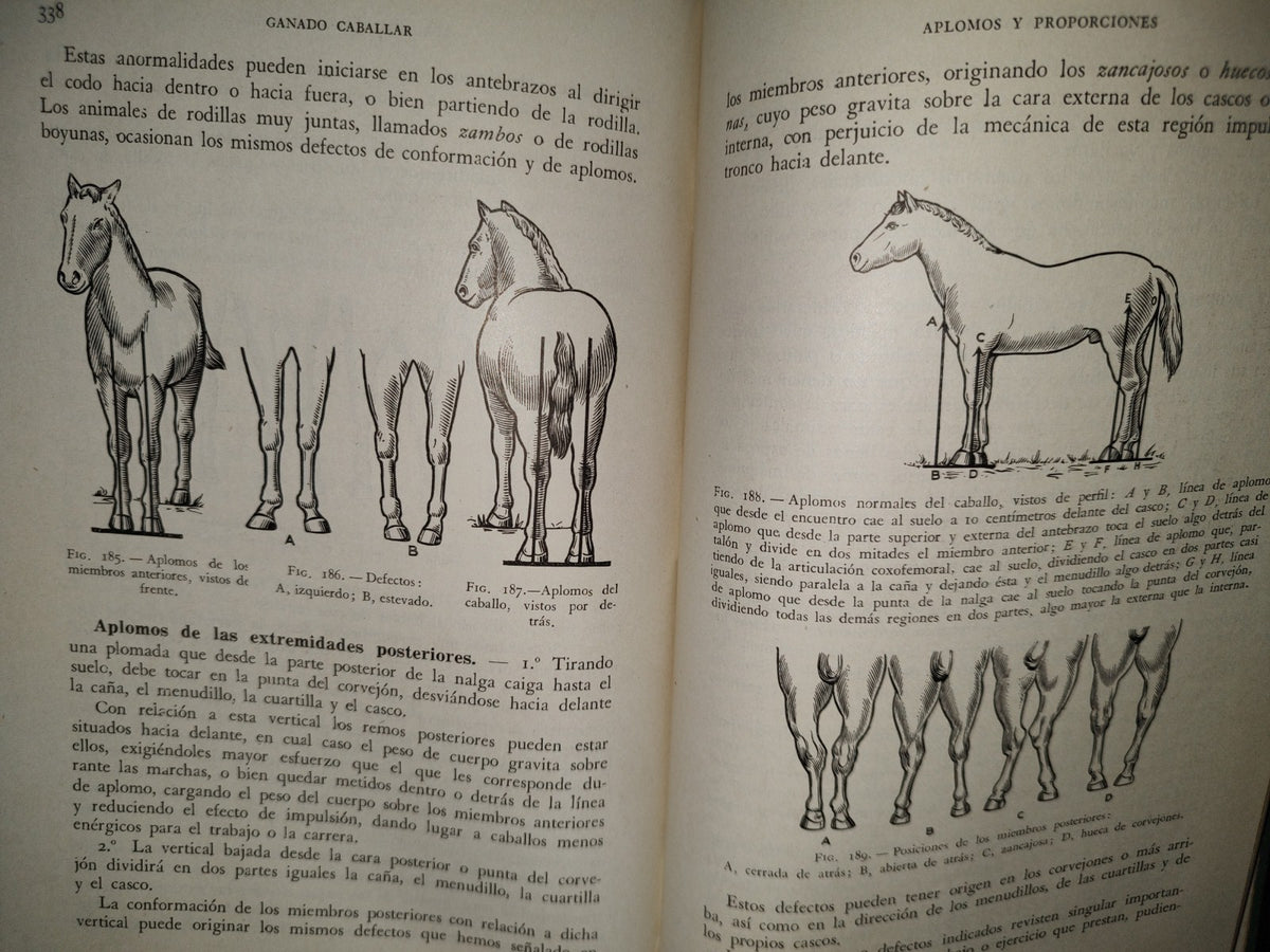 48- Ganado Caballar - José Maria Beltrán - Salvat Editores, S. A., Primera Edición, 1954