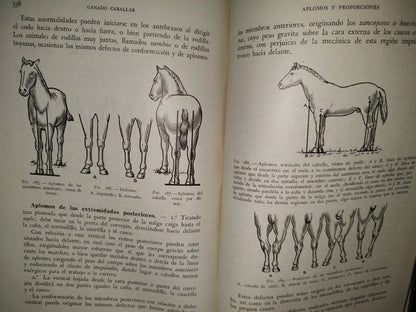 48- Ganado Caballar - José Maria Beltrán - Salvat Editores, S. A., Primera Edición, 1954