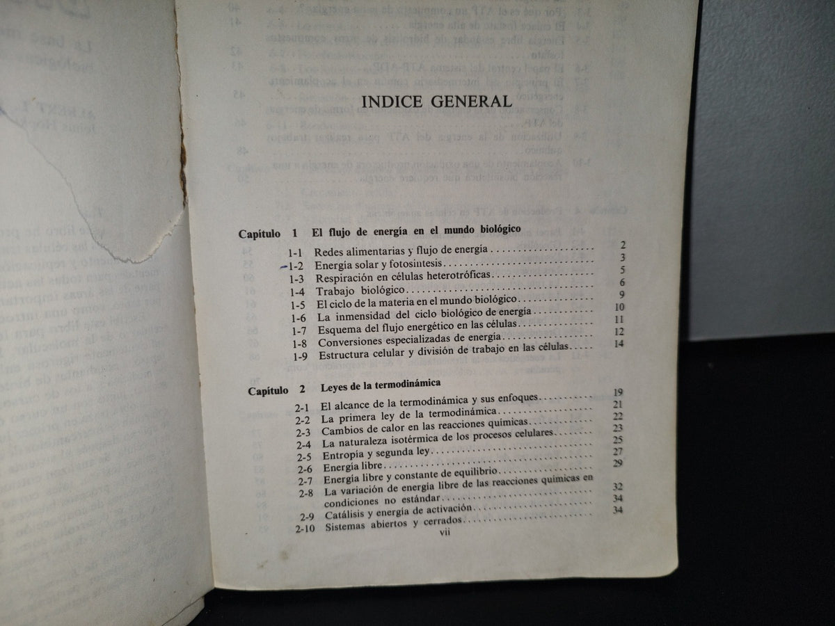 90- Bioenergética - Albert L. Lehninger