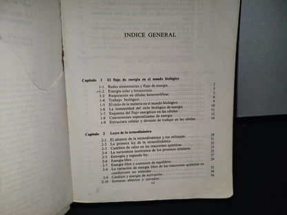 90- Bioenergética - Albert L. Lehninger