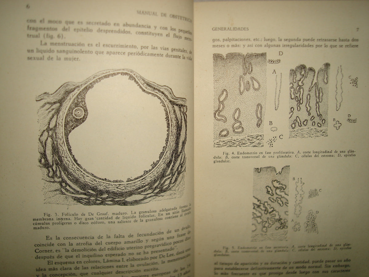 32- Manual De Obstetricia - José Rábago - 1965