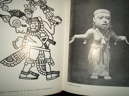 163- La Danza En México - Alberto Dallal - Universidad Nacional Autónoma De México. México, Primera Edición: 1986