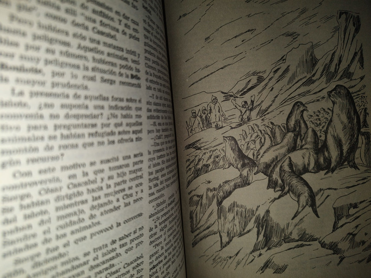 77- Obras Completas De Julio Verne. Tomo VIII - Editorial Albatros - 1958