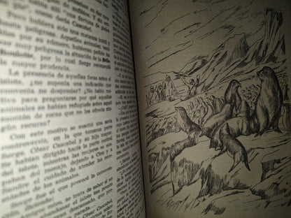 77- Obras Completas De Julio Verne. Tomo VIII - Editorial Albatros - 1958
