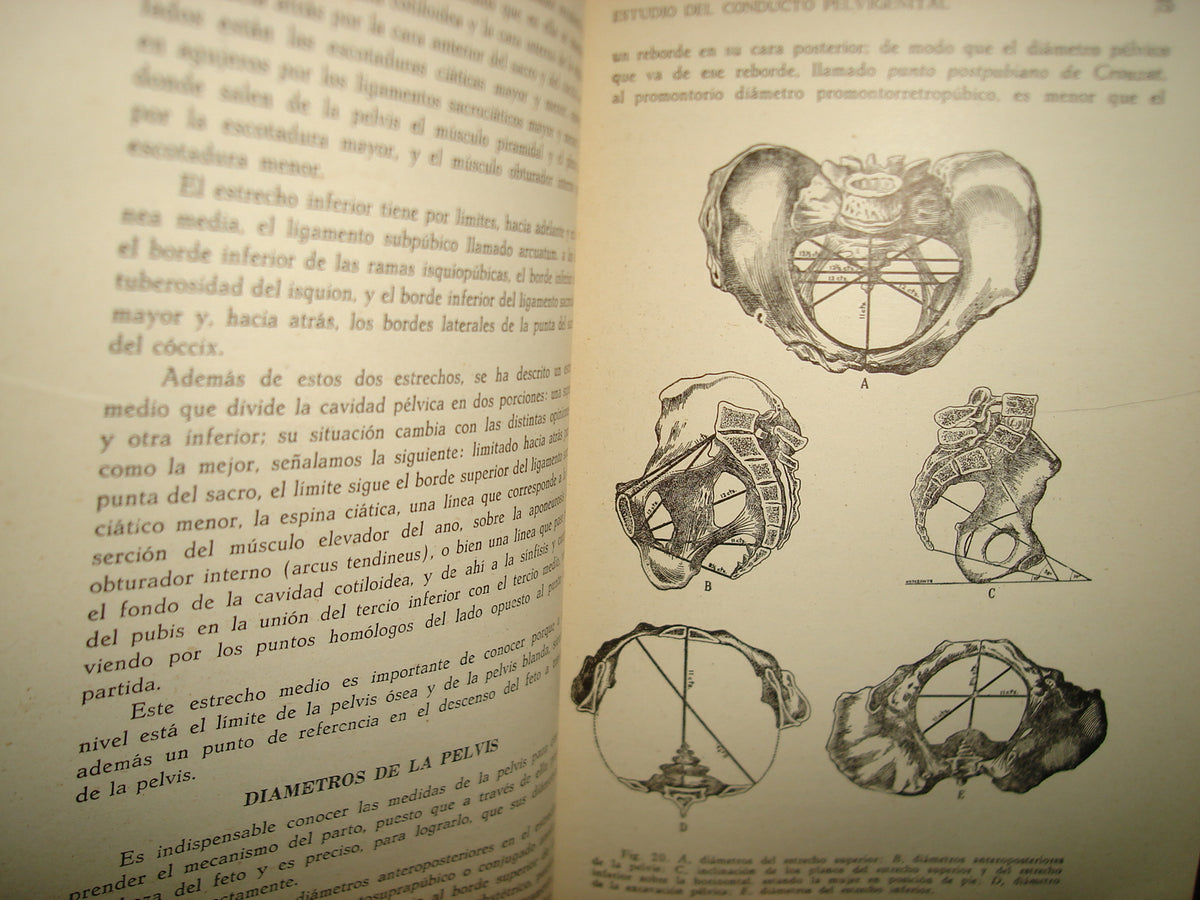 32- Manual De Obstetricia - José Rábago - 1965