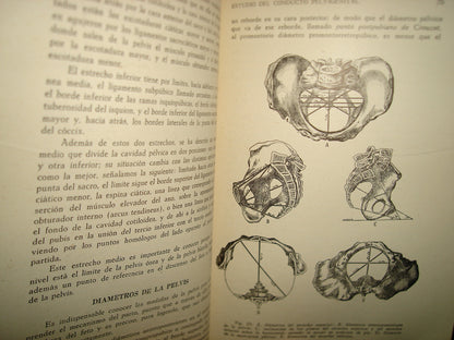 32- Manual De Obstetricia - José Rábago - 1965