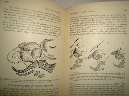 32- Manual De Obstetricia - José Rábago - 1965