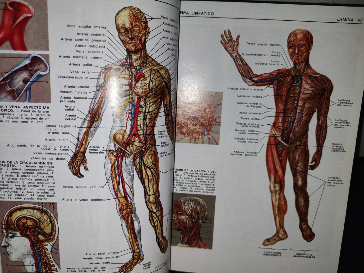 145- El Gran Libro De La Salud. Enciclopedia Médica De Selecciones Del Reader'S Digest - 1990