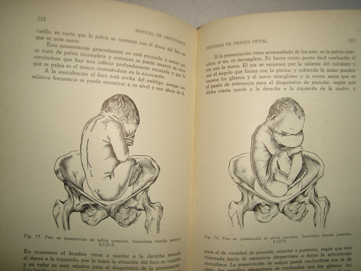 32- Manual De Obstetricia - José Rábago - 1965