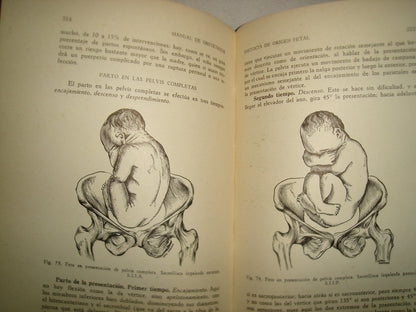 32- Manual De Obstetricia - José Rábago - 1965