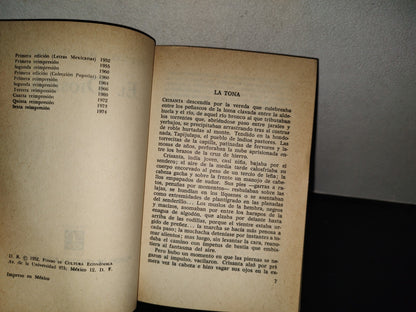 202- El Diosero - Francisco Rojas González. Fondo De Cultura Económica - 1974