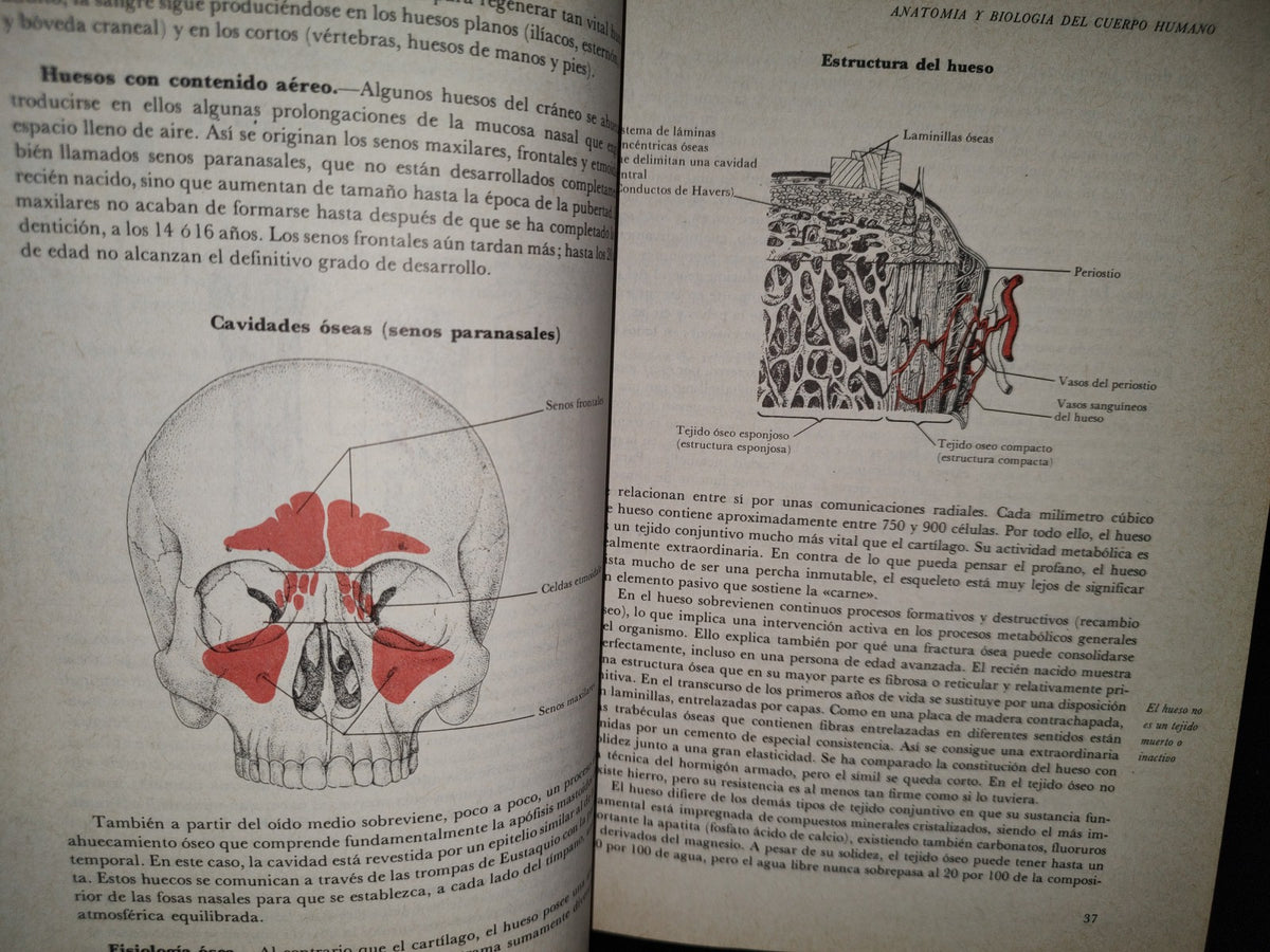 145- El Gran Libro De La Salud. Enciclopedia Médica De Selecciones Del Reader'S Digest - 1990