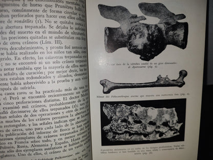 93- Historia De La Medicina - Douglas Guthrie - Salvat Editores - 1953
