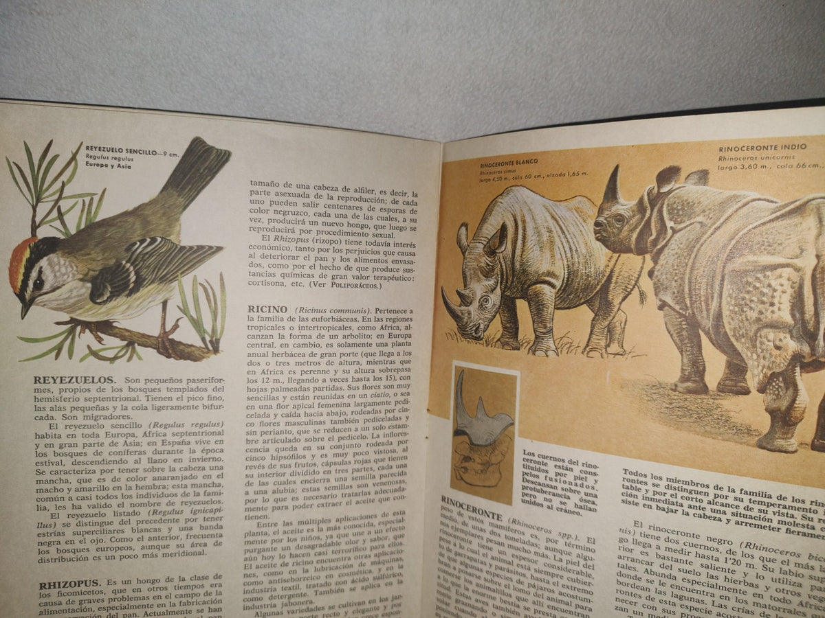 132- Fascículo: Enciclopedia De Ciencias Naturales. Bruguera. No. 79 - 1962