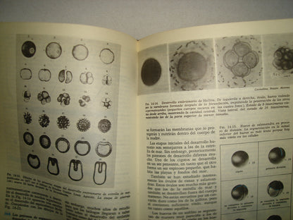 23- Ciencias Biológicas. De Las Moléculas Al Hombre - C.E.C.S.A.
