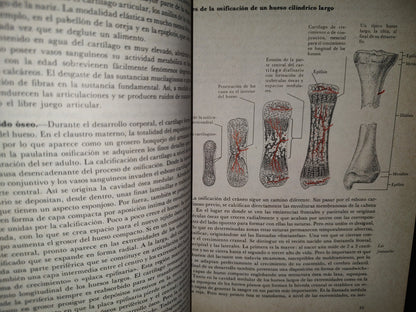 145- El Gran Libro De La Salud. Enciclopedia Médica De Selecciones Del Reader'S Digest - 1990