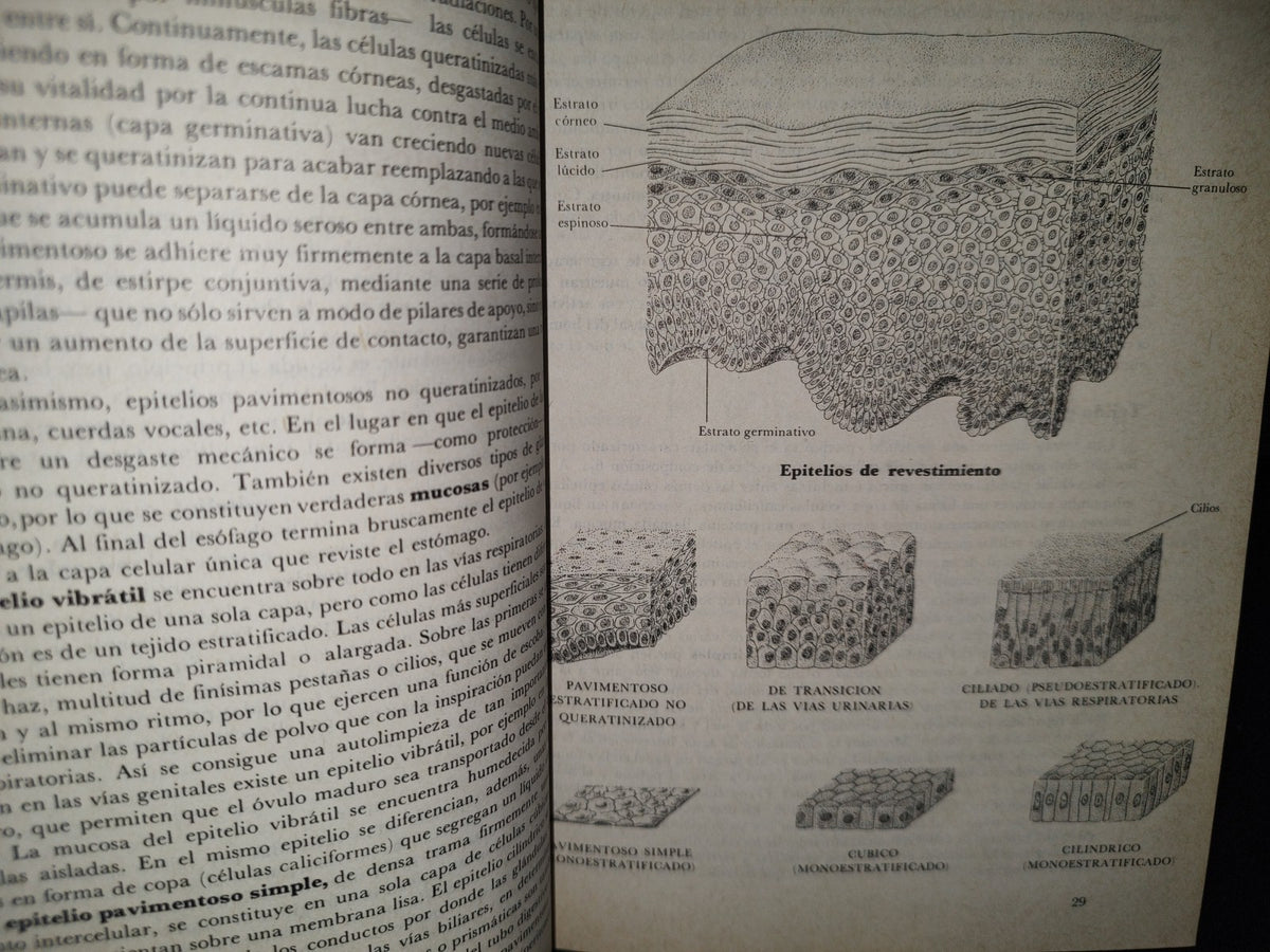 145- El Gran Libro De La Salud. Enciclopedia Médica De Selecciones Del Reader'S Digest - 1990
