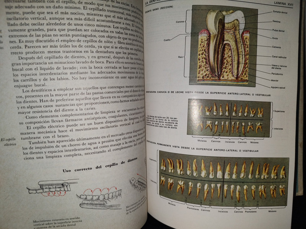 145- El Gran Libro De La Salud. Enciclopedia Médica De Selecciones Del Reader'S Digest - 1990