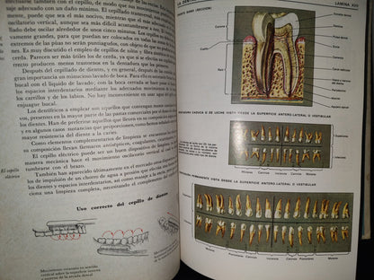145- El Gran Libro De La Salud. Enciclopedia Médica De Selecciones Del Reader'S Digest - 1990