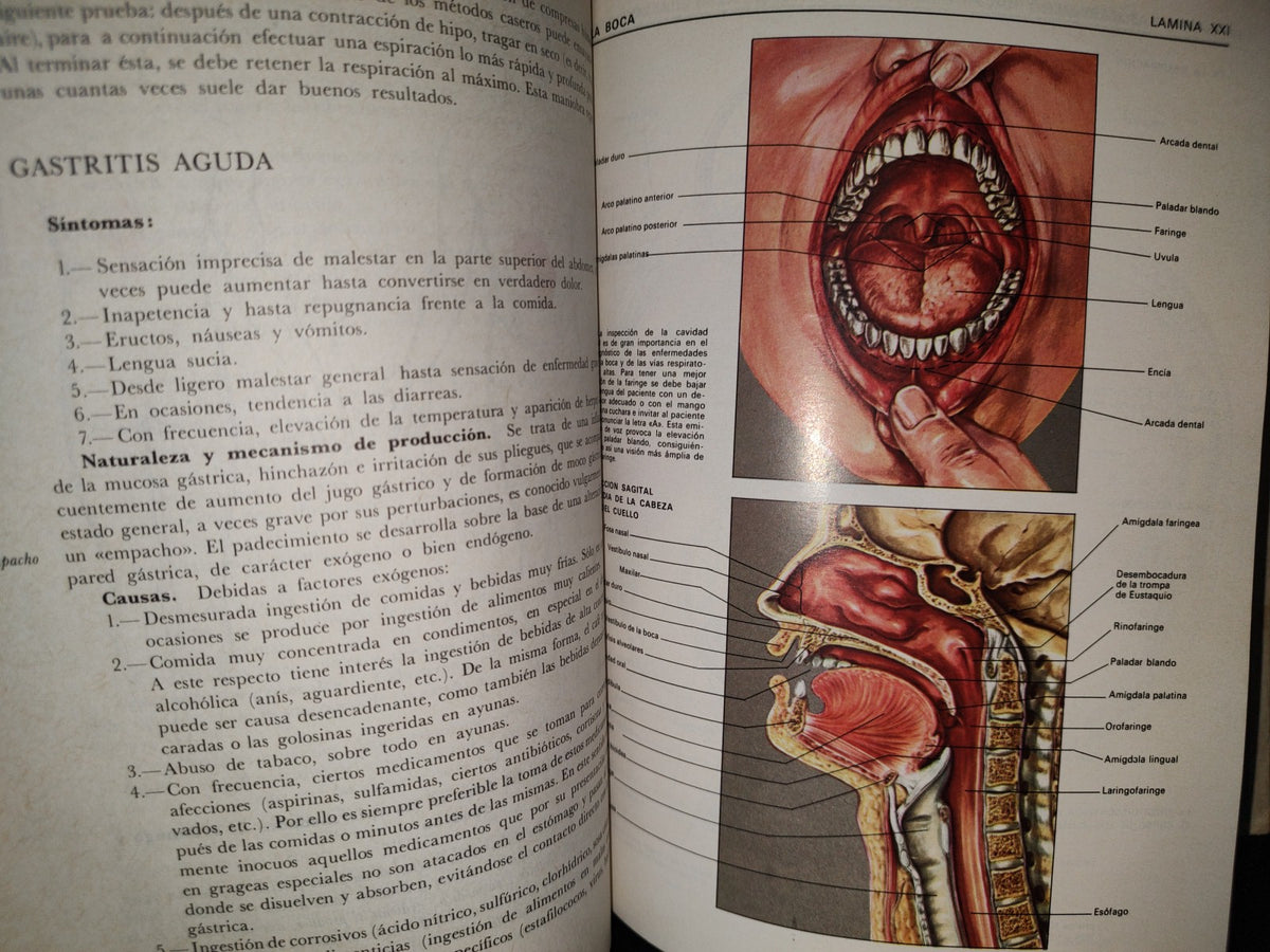 145- El Gran Libro De La Salud. Enciclopedia Médica De Selecciones Del Reader'S Digest - 1990