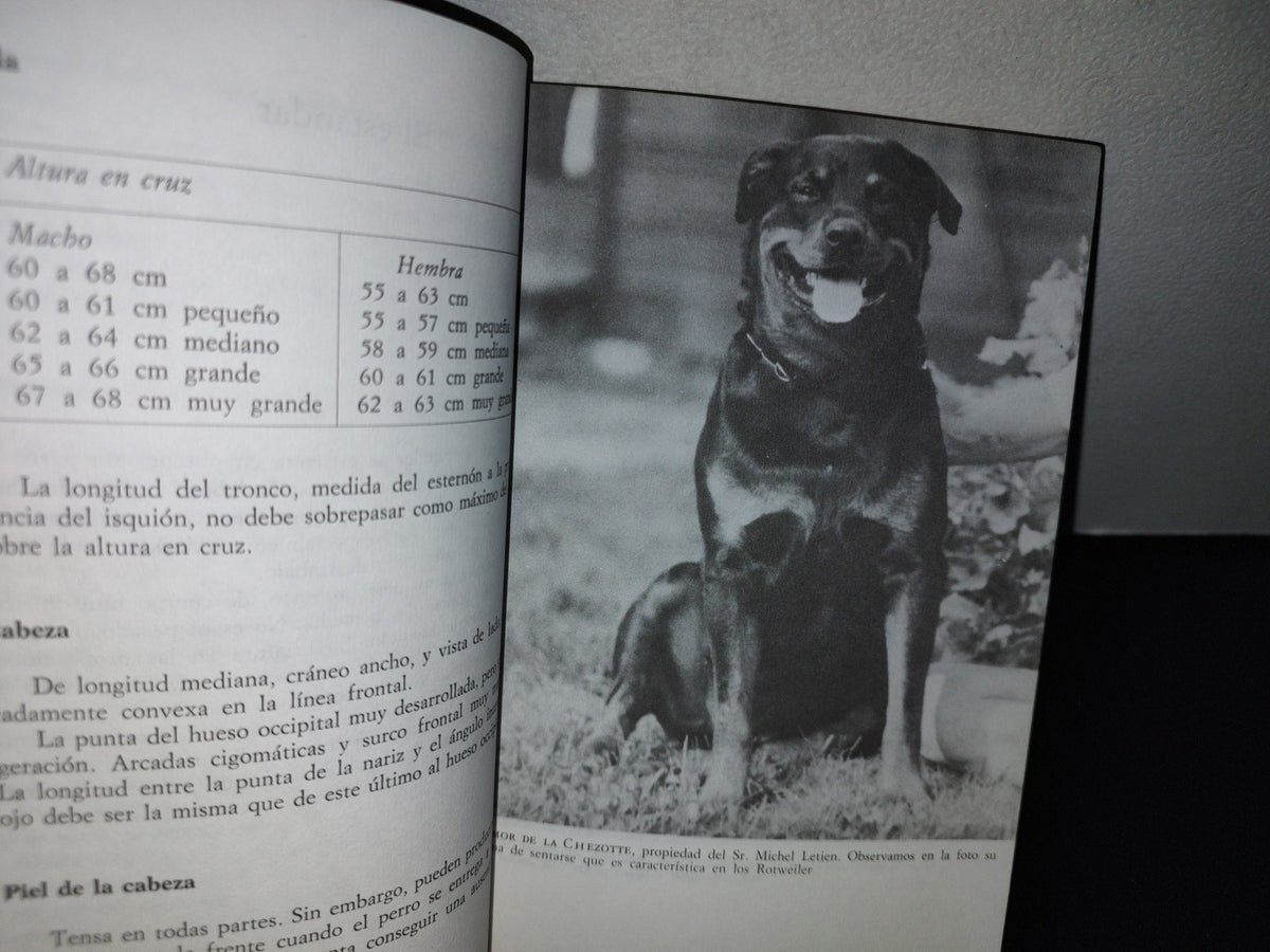 66- El Rottweiler - Pierre Bourgeois - Eitorial De Vecchi