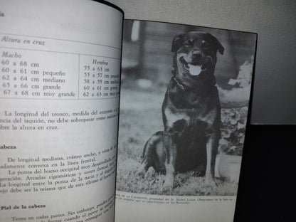 66- El Rottweiler - Pierre Bourgeois - Eitorial De Vecchi