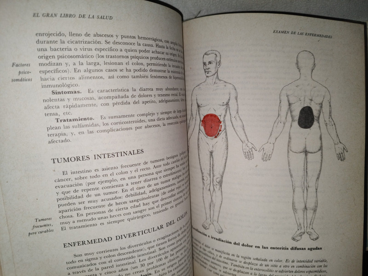 145- El Gran Libro De La Salud. Enciclopedia Médica De Selecciones Del Reader'S Digest - 1990
