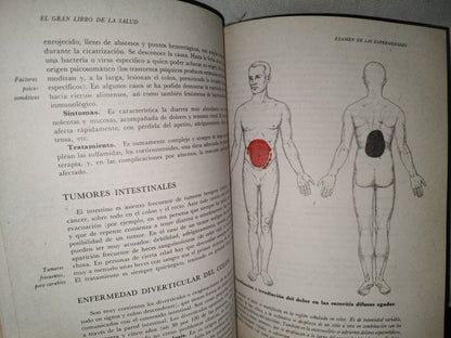 145- El Gran Libro De La Salud. Enciclopedia Médica De Selecciones Del Reader'S Digest - 1990
