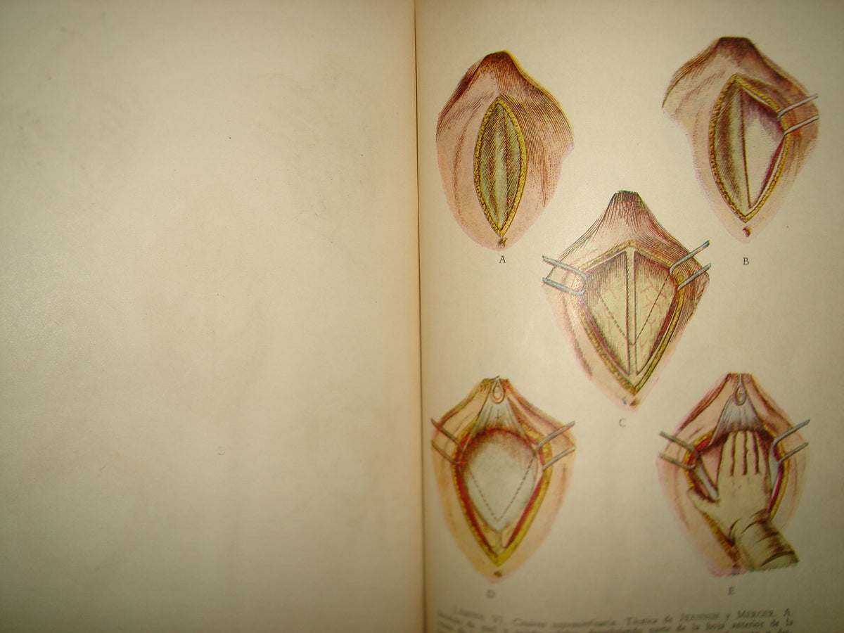 32- Manual De Obstetricia - José Rábago - 1965