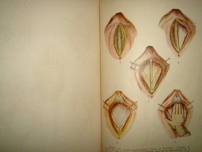32- Manual De Obstetricia - José Rábago - 1965