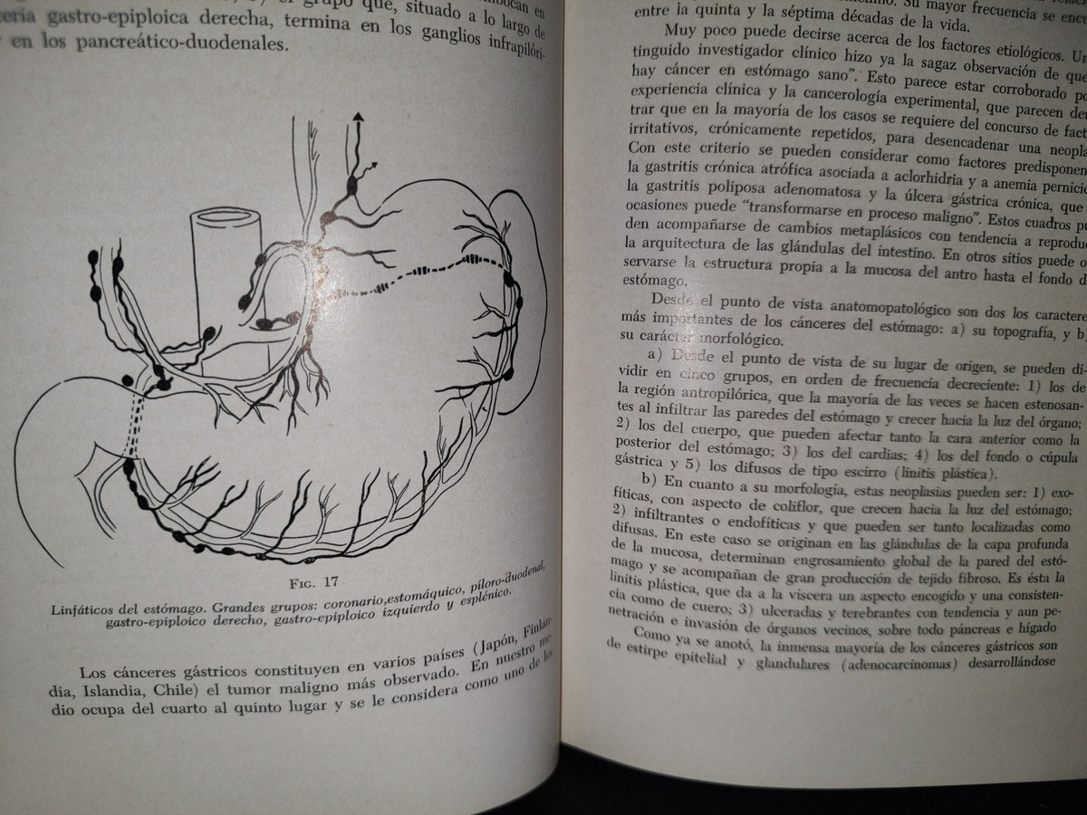 173- Manual De Cancerología Básica - Secretaría De Salubridad Y Asistencia - México 1963
