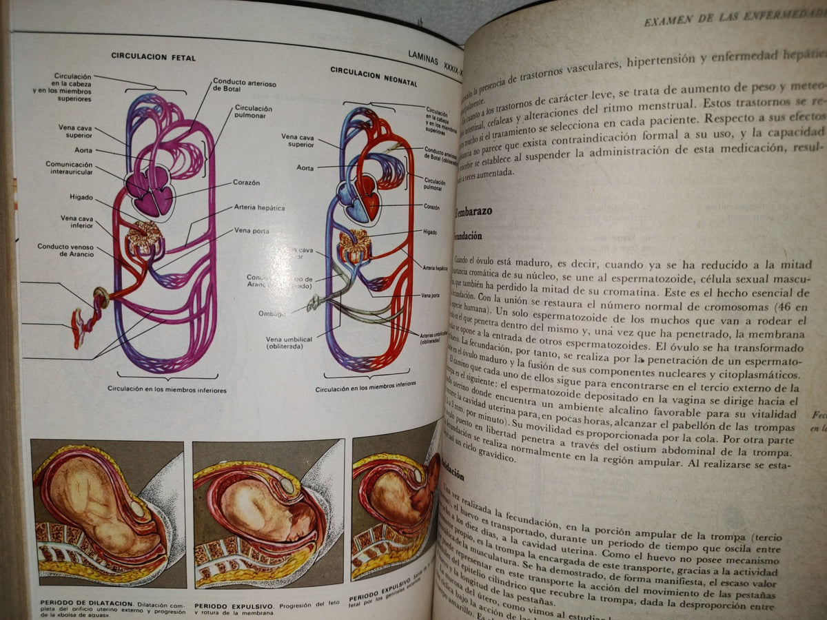 145- El Gran Libro De La Salud. Enciclopedia Médica De Selecciones Del Reader'S Digest - 1990