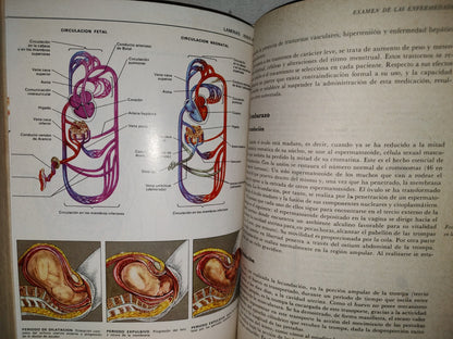 145- El Gran Libro De La Salud. Enciclopedia Médica De Selecciones Del Reader'S Digest - 1990